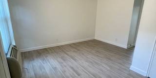 ONE11 COLLECTION - ROYAL OAK Gallery 47