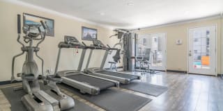 THE MODERN CACTUS Gallery 21