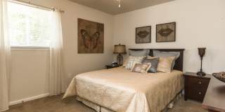 Salem Wood Gallery 4