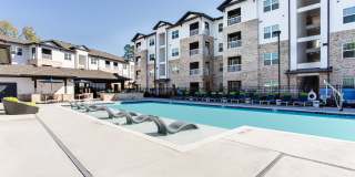 The Laney Gallery 37