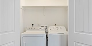 Heron on Hausman Gallery 35