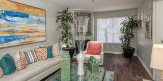 Waterscape Gallery 39