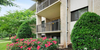 South Port Gallery 38