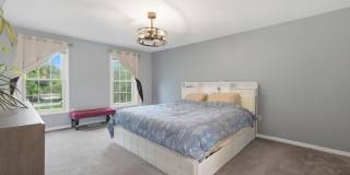 10734 WILLOW OAKS Drive Gallery 31