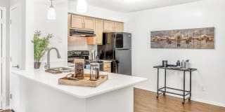 Sawyer Flats Gallery 45