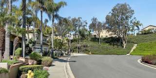 Beautiful Marina Hills Home! Gallery 46