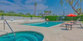 THE MODERN CACTUS Gallery 17