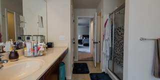 3365 ALYDAR Road Gallery 31