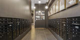 Deco Gallery 50
