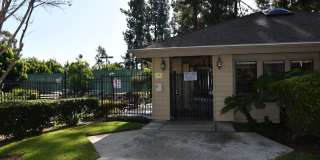 10336 Ridgewater Lane - 1 Gallery 19