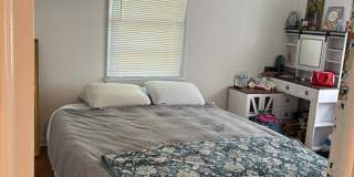 3 bedroom 2 bathroom near St. Mary's Hospital Gallery 14