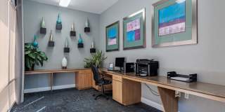 Diamond at Prospect Apartments Gallery 5