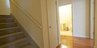 382 Malcolm X Blvd Apt 2 382 Malcolm X Blvd Apt 2 Gallery 1