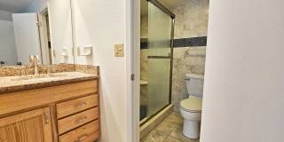 3 Bedroom 2 Bath Home in Safety Harbor Gallery 18