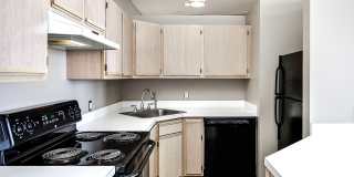 Greenhouse Gallery 28