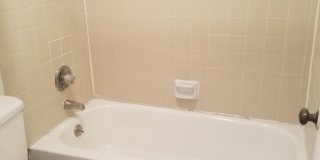 Forest Ridge Gallery 89