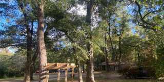 AVAILABLE NOW 3 BEDROOM 2 BATH SINGLE STORY AVAILABLE NOW 3 BEDROOM 2 BATH SINGLE STORY Gallery 1