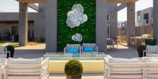 North Park Living Gallery 17
