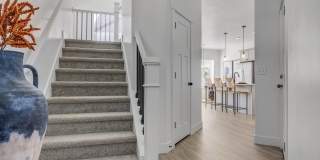 Mt. Rainier Gallery 19