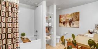 Serengeti Springs Gallery 4