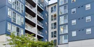 Apex Apartments Gallery 22