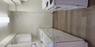 Palmwood Gardens Gallery 10