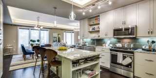 The Ivy Park Place Gallery 4