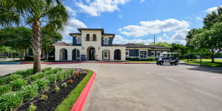Vineyards Gallery 6