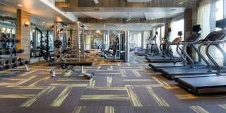 Fuse Cambridge Gallery 12