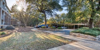 Mariposa at Cedar Park Active Adult 55+ Apartment Homes Mariposa at Cedar Park Active Adult 55+ Apartment Homes Gallery 22