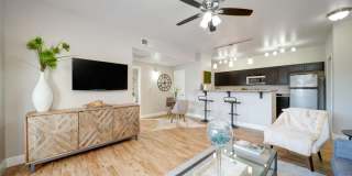 Trail at Pioneer Meadows Gallery 1