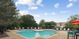 Falcon Lakes Gallery 18