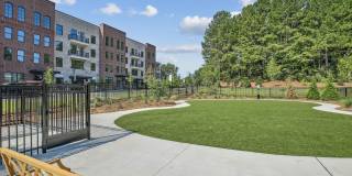 The Lacy at South Main Gallery 38