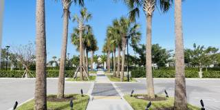 14476 Spruce Pine Drive Gallery 41