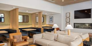 Starling Gallery 19