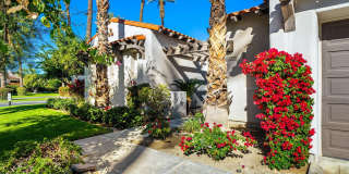 78980 Citrus Gallery 11
