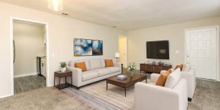 Camelia Gallery 5