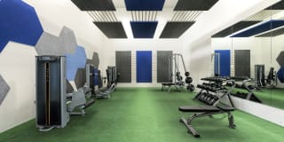 Cypress Creek Gallery 5