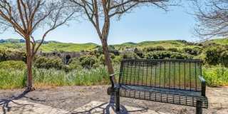 Bollinger Crest Gallery 5