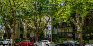 Tamarac Apartments Gallery 8