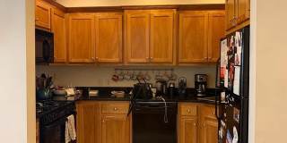 79 Highland St. Gallery 3