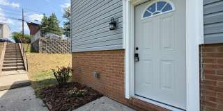 813 Ridge Street - Pet Friendly Charlottesville Home! Gallery 5