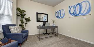 Autumn Chase Gallery 32