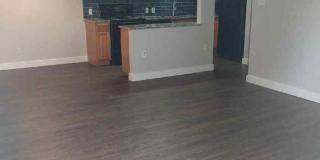 2702 Little Valley Cove Gallery 10