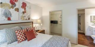 Butternut Ridge Gallery 16