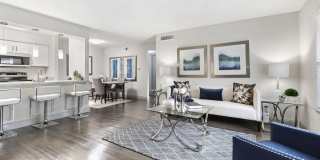 The Adalene Gallery 7