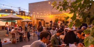 The Jayne Gallery 16