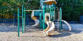 The Palmer The Palmer Gallery 17