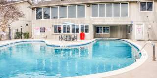 Juniper Springs Gallery 24