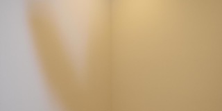 5039 Sunnytime Street Gallery 21